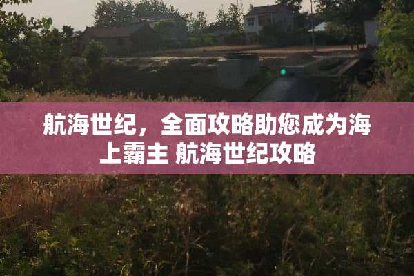 航海世纪，全面攻略助您成为海上霸主 航海世纪攻略