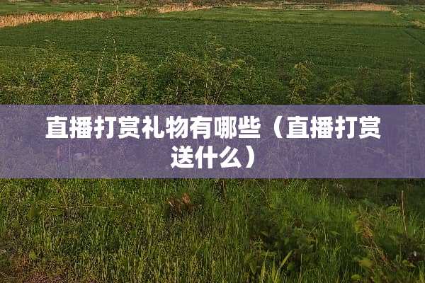直播打赏礼物有哪些(直播打赏送什么) 直播打赏礼物有哪些(直播打赏送什么)