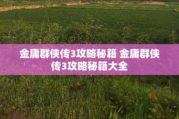 金庸群侠传3攻略秘籍 金庸群侠传3攻略秘籍大全