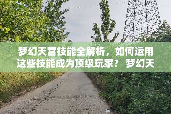 梦幻天宫技能全解析，如何运用这些技能成为顶级玩家？ 梦幻天宫技能介绍