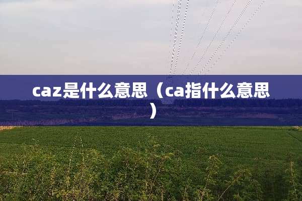 caz是什么意思（ca指什么意思）