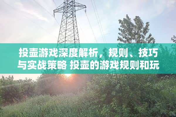投壶游戏深度解析，规则、技巧与实战策略 投壶的游戏规则和玩法