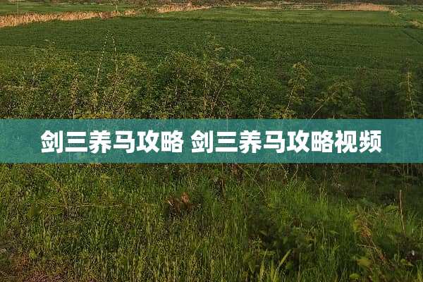 剑三养马攻略 剑三养马攻略视频