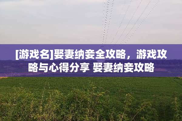 [游戏名]娶妻纳妾全攻略，游戏攻略与心得分享 娶妻纳妾攻略