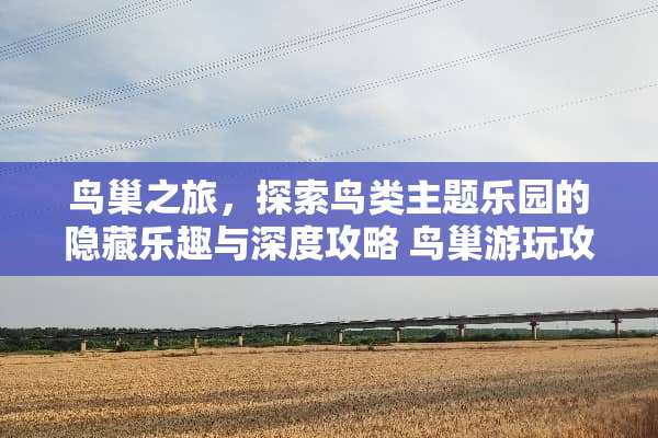 **之旅，探索鸟类主题乐园的隐藏乐趣与深度攻略**游玩攻略