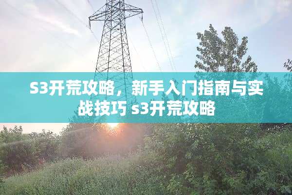 S3开荒攻略,新手入门指南与实战技巧 s3开荒攻略 S3开荒攻略,新手入门指南与实战技巧 s3开荒攻略