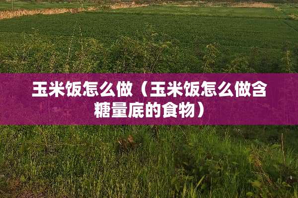 玉米饭怎么做（玉米饭怎么做含糖量底的食物）