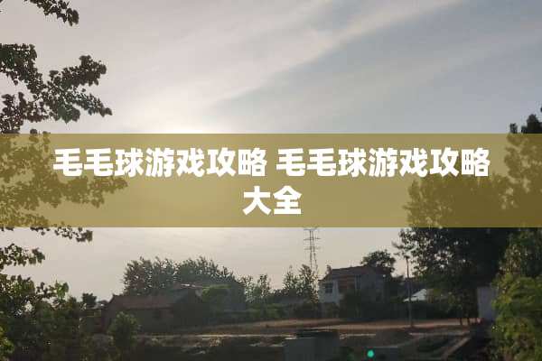 毛毛球游戏攻略 毛毛球游戏攻略大全