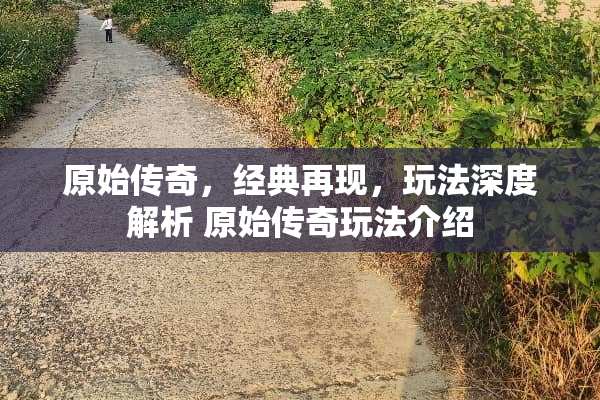 原始传奇，经典再现，玩法深度解析 原始传奇玩法介绍