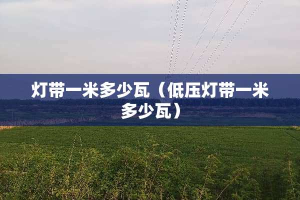 灯带一米多少瓦（低压灯带一米多少瓦）