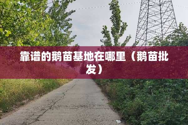 靠谱的鹅苗基地在哪里（鹅苗批发）