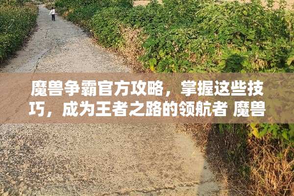 魔兽争霸官方攻略，掌握这些技巧，成为王者之路的领航者 魔兽争霸攻略游戏