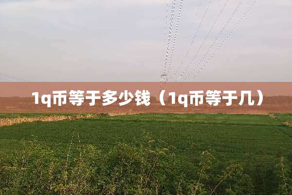 1q币等于多少钱（1q币等于几）