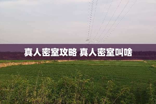 真人密室攻略 真人密室叫啥 真人密室攻略 真人密室叫啥