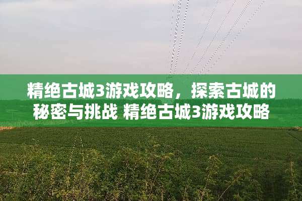 精绝古城3游戏攻略，探索古城的秘密与挑战 精绝古城3游戏攻略