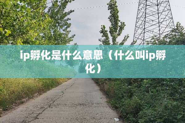 ip孵化是什么意思（什么叫ip孵化）