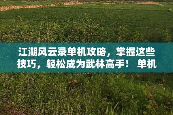 江湖风云录单机攻略，掌握这些技巧，轻松成为武林高手！ 单机江湖攻略