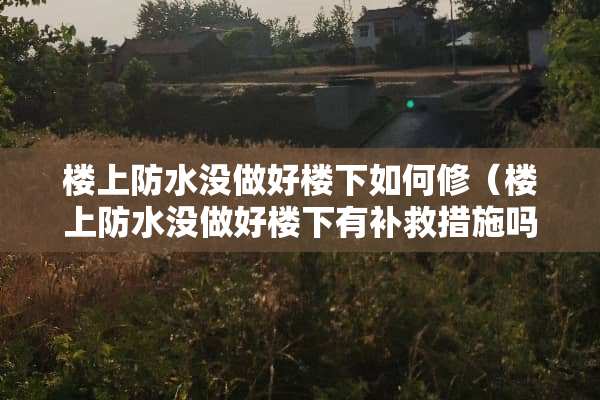 楼上防水没做好楼下如何修（楼上防水没做好楼下有补救措施吗）