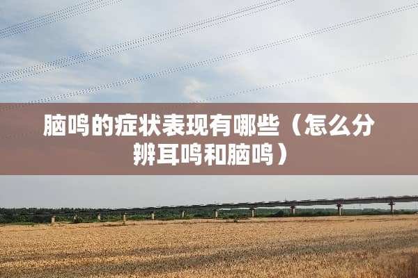脑鸣的症状表现有哪些(怎么分辨耳鸣和脑鸣) 脑鸣的症状表现有哪些(怎么分辨耳鸣和脑鸣)