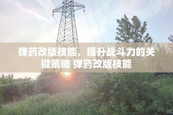 **改版技能，提升战斗力的关键策略**改版技能