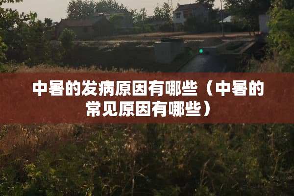 中暑的发病原因有哪些（中暑的常见原因有哪些）