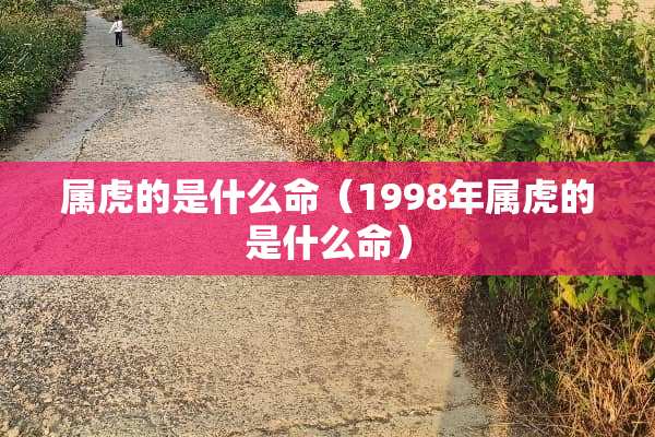 属虎的是什么命（1998年属虎的是什么命）
