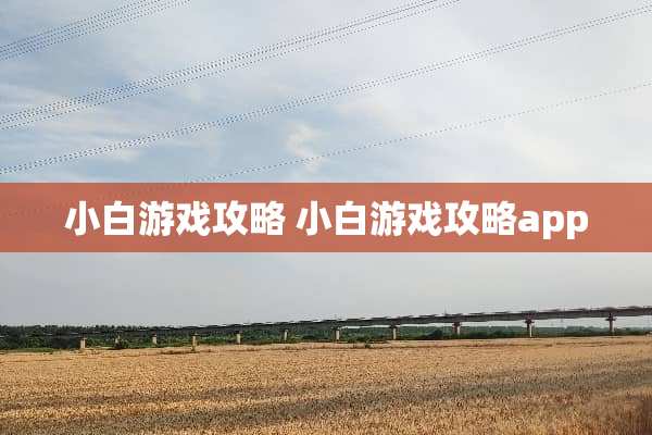 小白游戏攻略 小白游戏攻略app