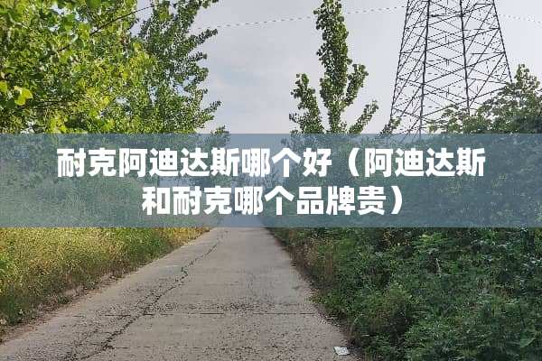 耐克阿迪达斯哪个好（阿迪达斯和耐克哪个品牌贵）