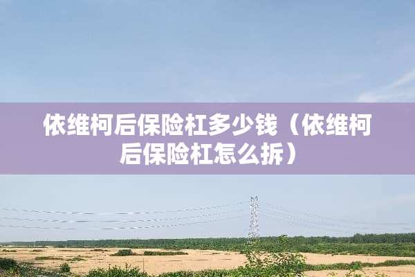 依维柯后保险杠多少钱(依维柯后保险杠怎么拆) 依维柯后保险杠多少钱(依维柯后保险杠怎么拆)