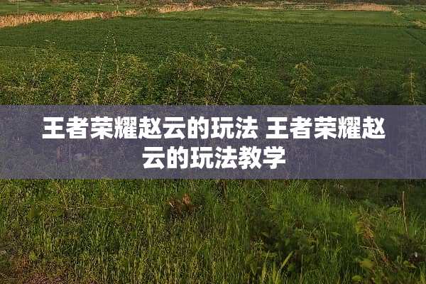 王者荣耀赵云的玩法 王者荣耀赵云的玩法教学