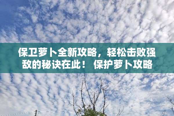 保卫萝卜全新攻略,轻松击败强敌的秘诀在此! 保护萝卜攻略 保卫萝卜全新攻略,轻松击败强敌的秘诀在此! 保护萝卜攻略