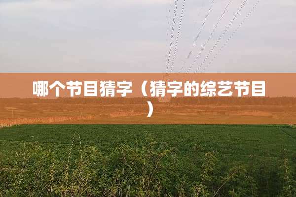 哪个节目猜字（猜字的综艺节目）