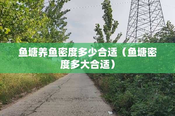 鱼塘养鱼密度多少合适（鱼塘密度多大合适）