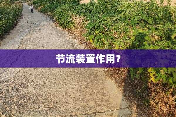 节流装置作用？