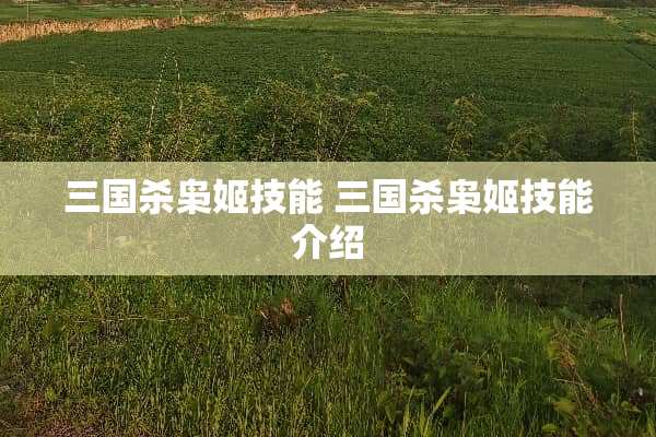 三国杀枭姬技能 三国杀枭姬技能介绍