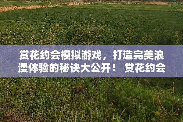 赏花约会模拟游戏，打造完美浪漫体验的秘诀大公开！ 赏花约会攻略游戏