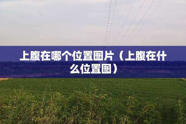 上腹在哪个位置图片（上腹在什么位置图）