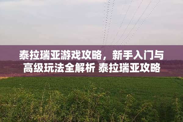 泰拉瑞亚游戏攻略，新手入门与高级玩法全解析 泰拉瑞亚攻略