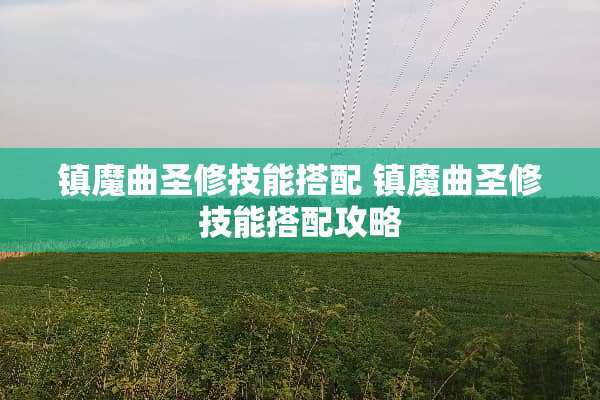 镇魔曲圣修技能搭配 镇魔曲圣修技能搭配攻略 镇魔曲圣修技能搭配 镇魔曲圣修技能搭配攻略