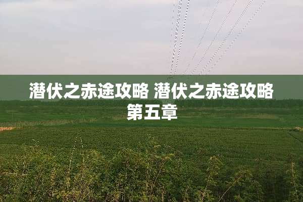 潜伏之赤途攻略 潜伏之赤途攻略第五章