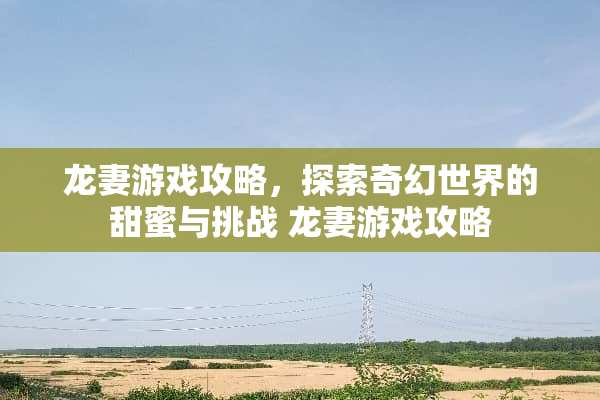 龙妻游戏攻略,探索奇幻世界的甜蜜与挑战 龙妻游戏攻略 龙妻游戏攻略,探索奇幻世界的甜蜜与挑战 龙妻游戏攻略