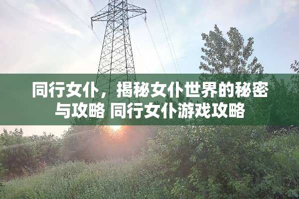 同行女仆,揭秘女仆世界的秘密与攻略 同行女仆游戏攻略 同行女仆,揭秘女仆世界的秘密与攻略 同行女仆游戏攻略