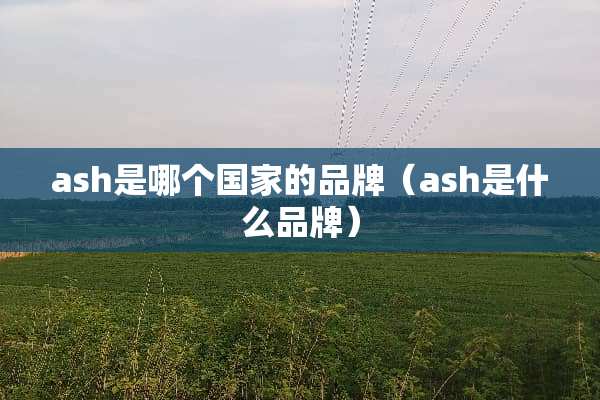 ash是哪个国家的品牌（ash是什么品牌）