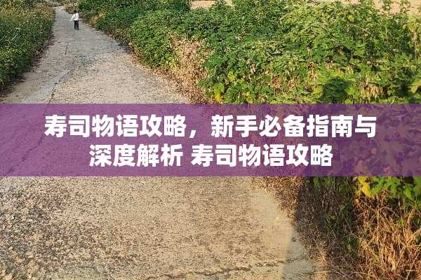 寿司物语攻略，新手必备指南与深度解析 寿司物语攻略