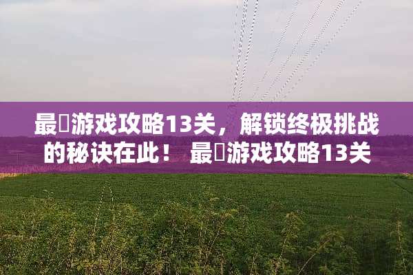 最囧游戏攻略13关,解锁终极挑战的秘诀在此! 最囧游戏攻略13关 最囧游戏攻略13关,解锁终极挑战的秘诀在此! 最囧游戏攻略13关