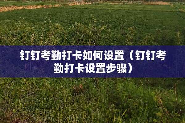 钉钉考勤打卡如何设置（钉钉考勤打卡设置步骤）