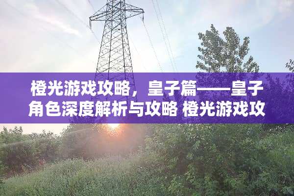橙光游戏攻略,皇子篇——皇子角色深度解析与攻略 橙光游戏攻略皇子 橙光游戏攻略,皇子篇——皇子角色深度解析与攻略 橙光游戏攻略皇子