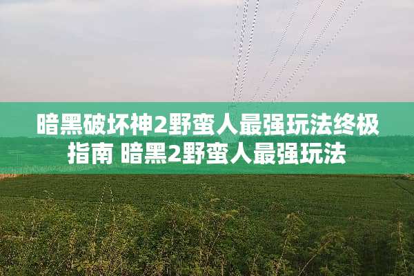 暗黑破坏神2野蛮人最强玩法终极指南 暗黑2野蛮人最强玩法