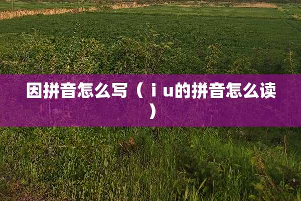 因拼音怎么写（ⅰu的拼音怎么读）