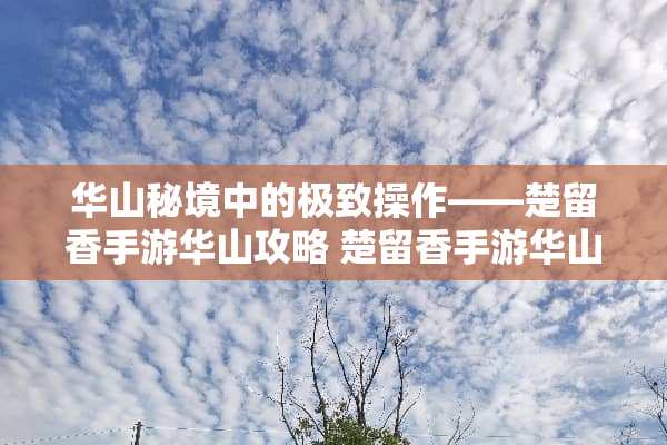 华山秘境中的极致操作——楚留香手游华山攻略 楚留香手游华山攻略